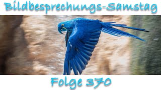 Bildbesprechung 370