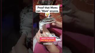 Proof that moms can mom anyone😳😂#crocodile #animals #ytshorts #hilarious #fyp #lol #motherhood #wow