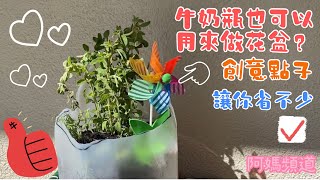 自製牛奶花盆| 超簡單的創意花盆| 特別裝置澆水超方便，泥土就不會弄出來|不會弄髒| 沒想到效果很好又環保💕