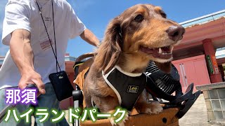 愛犬と一緒に乗れる遊園地が最高でした【ミニチュアダックス】【那須ハイランドパーク】