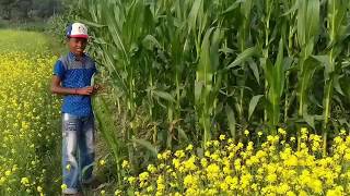 Keno Je Amai Kadale (Hridoy Song First)