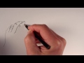 Continuous Line Drawing Drawing Exercise