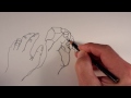 Continuous Line Drawing Drawing Exercise