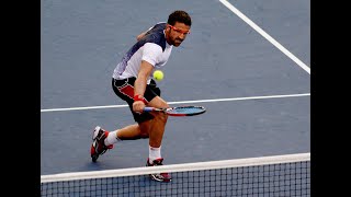 Tipsarevic Ferrer Thrilling Rally (2013)