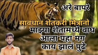 वाघ चक्क शेतामध्ये आलेला सावधान शेतकरी मित्रांनो । Tiger coming in fram