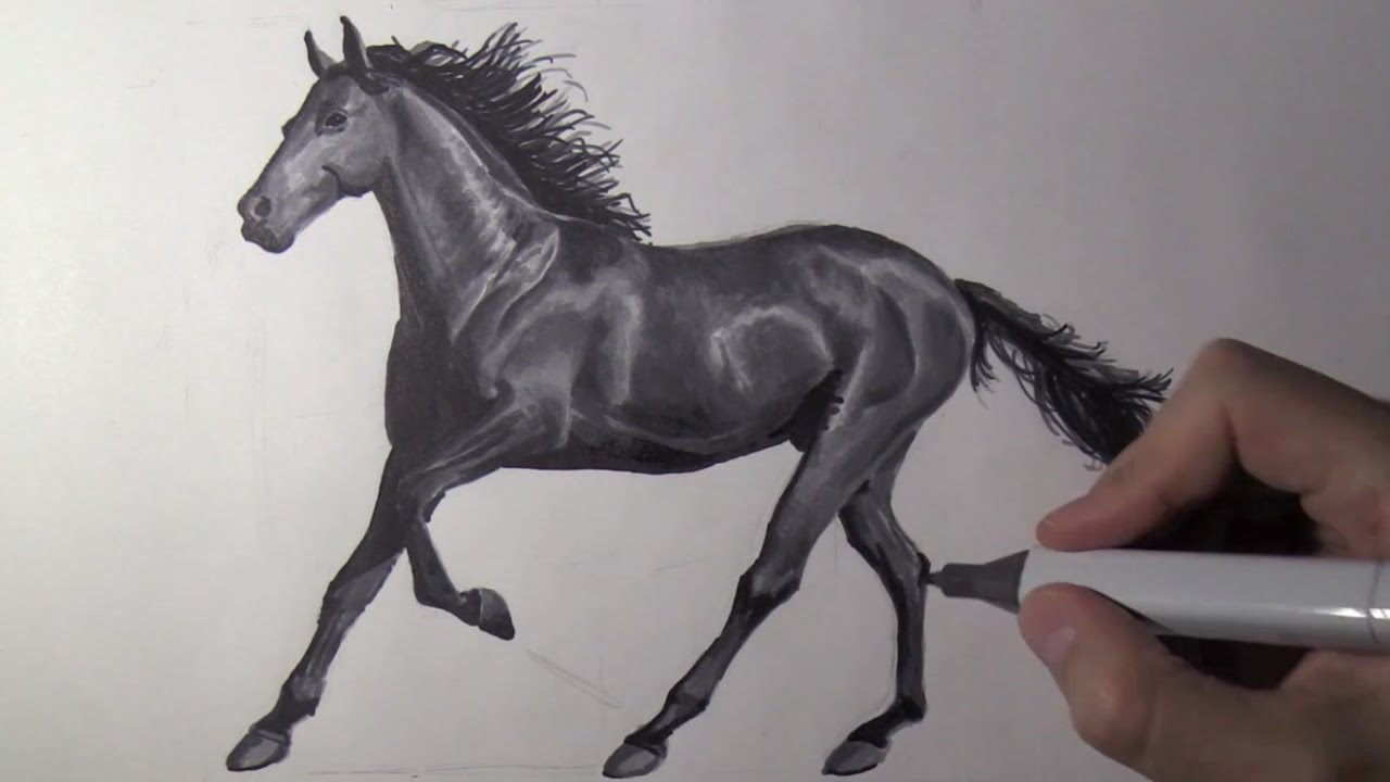 Dessin Cheval Raliste Facile