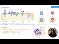 introduction to pharmaceutics drugs excipients u0026 medicines