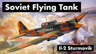 Why This Soviet WW2 Aircraft Was So Effective