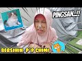 Tugas Baru Kunyit 😄 Bersihkan Kandang Chimi Si Anak Kucing Lucu | Asti Kunyit - Bunda Aqilla Eps 77