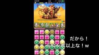 パズドラ　スフィンクス杯