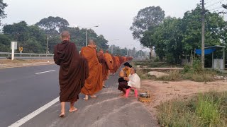 พระภิกษุสงฆ์วัดบ้านเก่าบ่อออกรับบิณฑบาตเช้าๆวันนี้ที่สายบ้านแสนสุข  อำเภอหัวตะพาน  จังหวัดอำนาจเจริญ