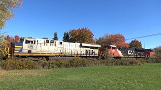 Friendly Horn - Fall Foliage Colours! Long Freight Train CN 305 rolling thru Berry MIlls, NB