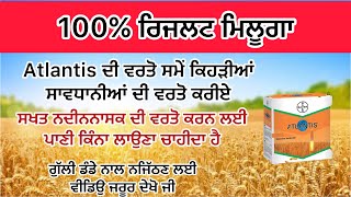 ਗੁੱਲੀ ਡੰਡੇ ਨੂੰ 100% ਖਤਮ ਕਰਨ ਸਾਵਧਾਨੀਆਂ/  Atlantis herbicide. pbw 826. dbw 327. Dbw 187