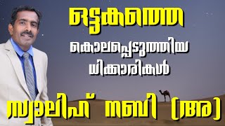 ഒട്ടകത്തെ കൊലപ്പെടുത്തിയ ധിക്കാരികൾ | സ്വാലിഹ് നബി (അ)