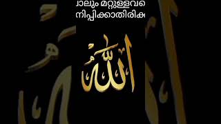 നമ്മുടെയൊക്കെ ചില കുടുംബങ്ങളിൽ സംഭവിക്കുന്നത്😔 #short#short vedio