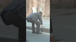 My airport shuttle driver in Rome saving the lives of three ducklings