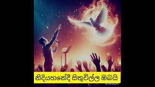 දිව එන්නේ මා ඔබෙ තුරුලට පියාණෙනී... 🙏🙏