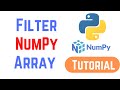 Python NumPy Tutorial For Beginners - How to Filter a NumPy Array (Examples)