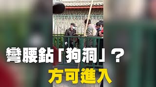 北京中共國家信訪局，當局讓上訪人員彎腰鉆洞進去上訪| #大紀元新聞網