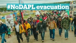 #NoDAPL evacuation to begin