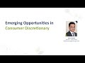 Emerging Opportunities in Consumer Discretionary