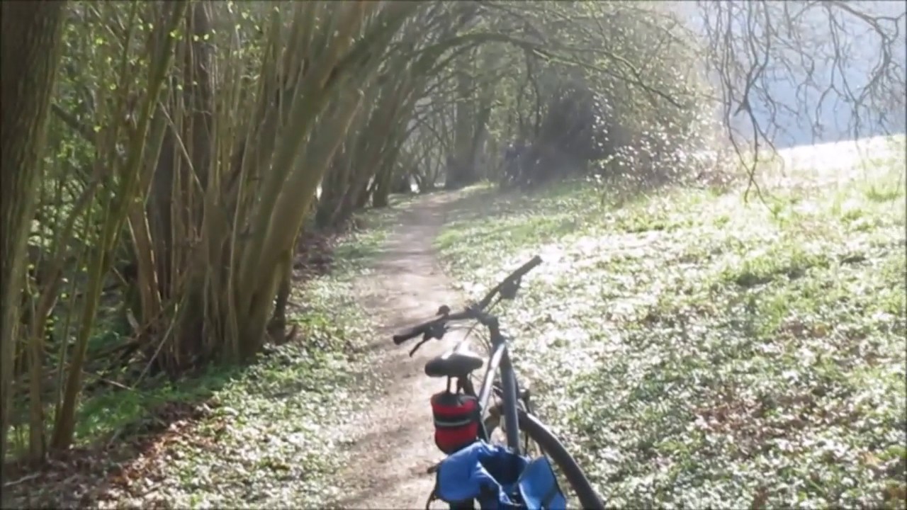 Radweg Zwischen Geilnau Und Laurenburg - YouTube