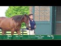 Hip 17 Keeneland September 2017