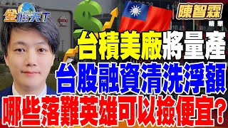 【精華】台積美廠將量產 退伍軍人立大功？ 台積明法說 先看大立光怎說？ 台股融資清洗浮額 哪些落難英雄可以撿便宜？ #陳智霖 @tvbsmoney 20250115