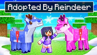 Adopted By Friendly REINDEER In Minecraft!