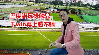 維德解馬 第一四二集  巴度諾瓦祿麟兒 千win再上勝不驕