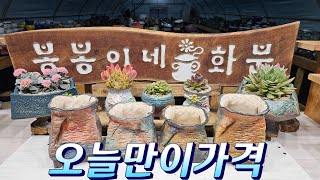 2월25일 #봉봉이네화분#다육화분#이쁜화분#공방분#오늘만 드리는혜택