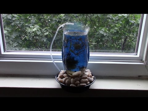 DIY Aquarium of plastic bottle DIY Aquarium of plastic bottle