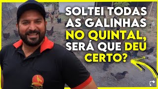 Colocamos todas as GALINHAS de Férias no Sistema CAIPIRA