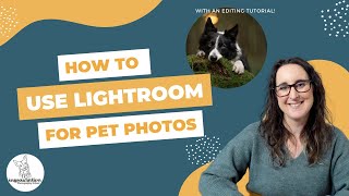 How to Use Lightroom for Pet Photography Editing