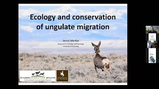 UMN Conservation Sciences Seminar - Dr. Jarod Merkle (11/19/21)