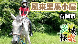 【茨城探索】風来里（ふらり）馬小屋。初の乗馬体験！！かわいいメグちゃんの背中に乗って石岡の林道をトレッキングしてきました【茨城県石岡市】【vlog】