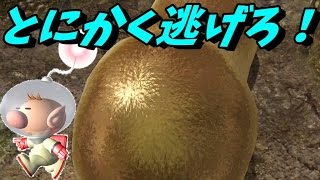 〔ピクミン３♯19〕金色の物体に好かれるオリマー！とにかく運んで逃げてみた！