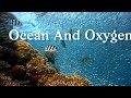 Ocean And Oxygen