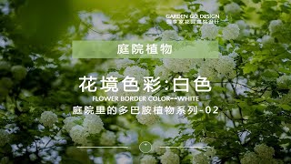 庭院花园的新贵族-多巴胺植物花境搭配02