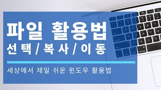 파일 선택과 복사 이동