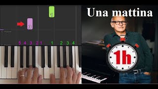 Apprendre "Una mattina" de Ludovico Einaudi en 1h chrono (piano facile pour débutant 1e journée)