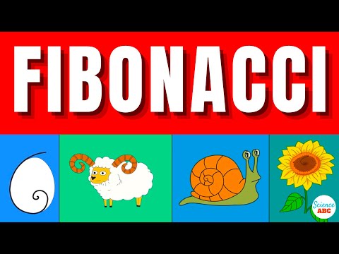 What was Fibonacci childhood like?