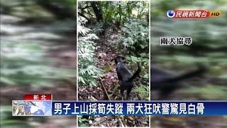 男子上山採筍失蹤 警遛愛犬意外發現白骨－民視新聞