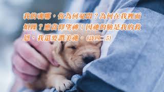 高雄市召會新生命活泉[詩四二5]有什麼樣的想法，就有什麼樣的未來。