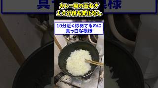 【2ch面白いスレ】美味しいカレー作るんや！→10分炒めても玉ねぎが真っ白の模様www