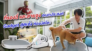 รีวิวของใช้น้องหมานัตโตะ EP.2 ห้องน้ำน้องหมา กับสายจูงสุดไฮเทค 🥰🐶🐕