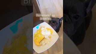 Making Breakfast for My Frenchies – Omelette, Rice \u0026 Cottage Cheese! 🐶🍳