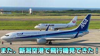 また、新潟空港に行って、飛行機を見てきました！ANA, JAL, FDA, tiger airなどなど