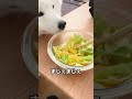 サモエド用虚無チャーハン作ってみたらめちゃくちゃ美味しかった サモエド 犬 dog samoyed 虚無 電子レンジ