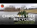 Christmas Tree Recycling